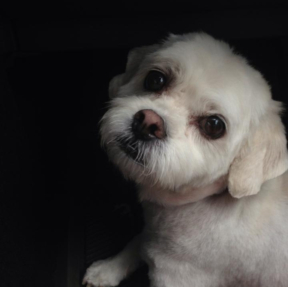 Meet your Posher, Melanie